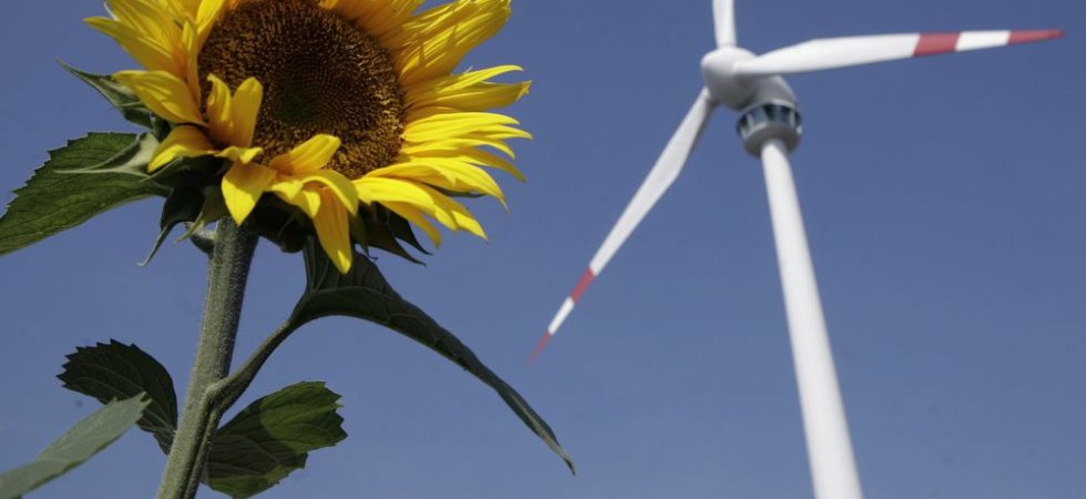 Un couple obtient une baisse de sa taxe foncière en raison d’éoliennes