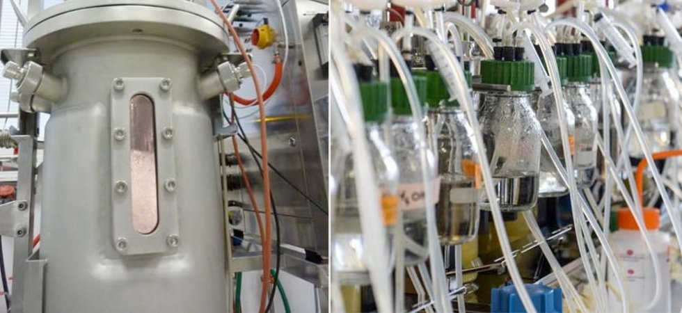 Global Bioenergies : changement d'échelle