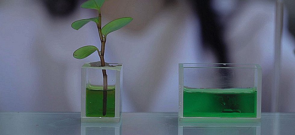 Valbiotis renforce sa direction commerciale
