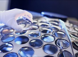 EssilorLuxottica : Delfin demande un arbitrage international contre Essilor