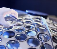 EssilorLuxottica mène des discussions pour acquérir la participation de HAL Holding dans GrandVision