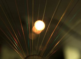 Coronavirus : au bord de la saturation, Internet bientôt bridé ?