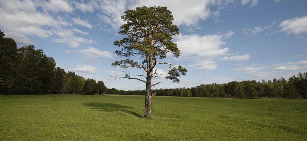 Environnement : comptes semestriels stabilisés