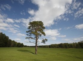 Le Crédit Agricole complète son leadership mondial en obligations vertes