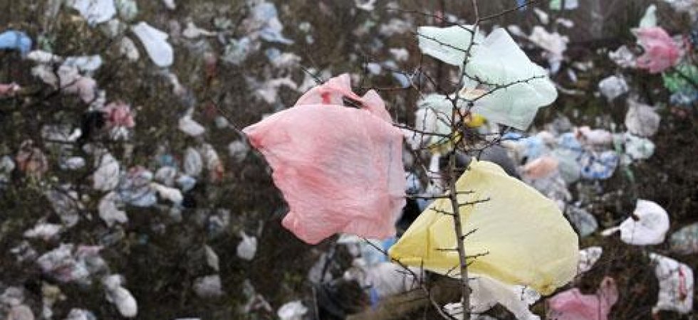 Cabios : satisfait du décret sur les sacs plastiques à usage unique