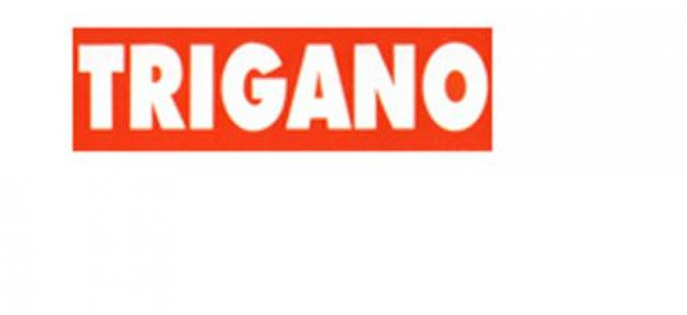 Trigano publie un résultat opérationnel courant au 1er semestre de 89,3 ME