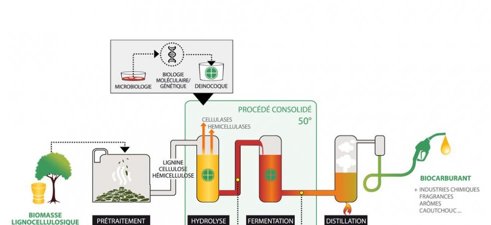Deinove renforce la fonction de business développement avec l'arrivée de Sébastien Enault