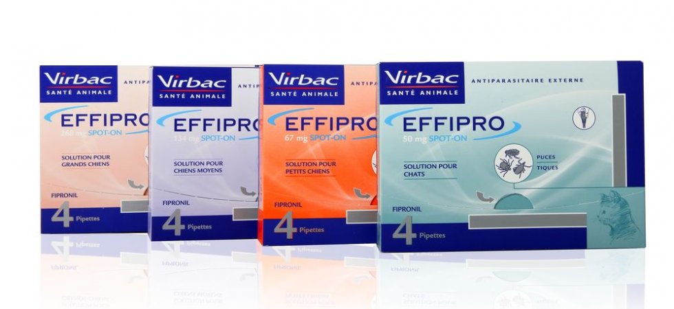 Virbac : 2020, une année de résilience