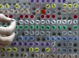 Adocia annonce un essai clinique évaluant BioChaperone Lispro