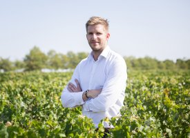 « Le vin, un actif financier solide ! »