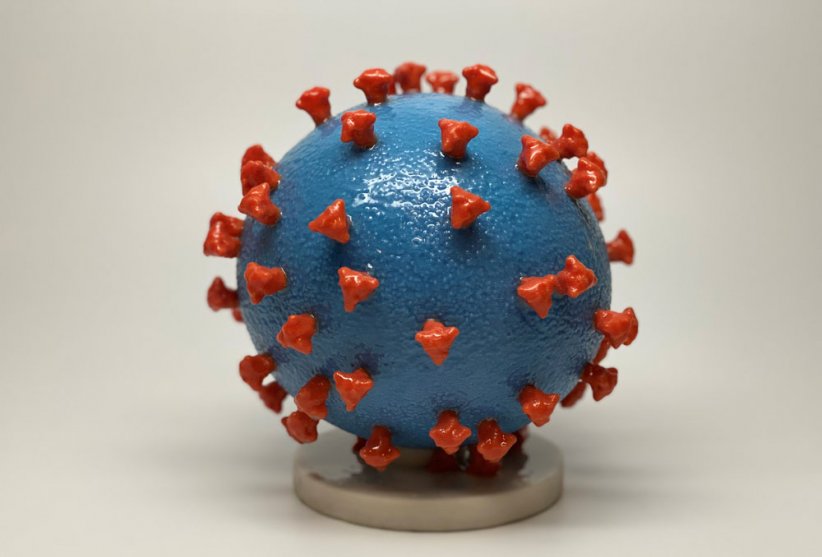 La quête d'un vaccin... La quête d'un vaccin...