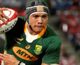 Tournoi des huit nations : Bernard Laporte contredit par la Fédération Sud-Africaine et la SANZAAR