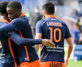 Tout savoir sur Montpellier - Lorient