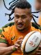 Championnat des nations (J3) : L'Australie écrase l'Italie