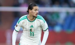 Algérie : Un amical contre les Pays-Bas avant la Coupe du monde