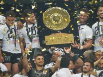 Stade toulousain (2019) Stade toulousain (2019)