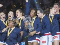 2017 : Médaille d'or 2017 : Médaille d'or