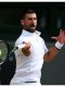 Wimbledon (H) : Revivez les demi-finales