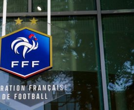Une année "unique" pour les équipes de France 