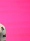 Giro : Quels Français peuvent briller ?