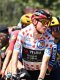 Tour de France : Pogacar et Vingegaard contrôlés en pleine nuit