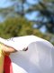 Amundi Evian Championship : Ryu l'emporte après un barrage