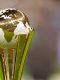 Focus : La Coupe Intercontinentale, qu'est-ce que c'est ?