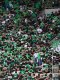 Saint-Etienne : Une ambiance volcanique contre Rodez ?