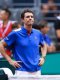 Coupe Davis : Les Bleus veulent le saladier