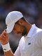 ATP : Djokovic, des vomissements qui inquiètent