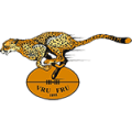 logo Cheetahs