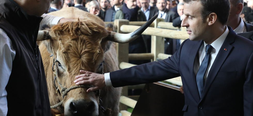 Emmanuel Macron doit-il soutenir davantage le monde agricole ?