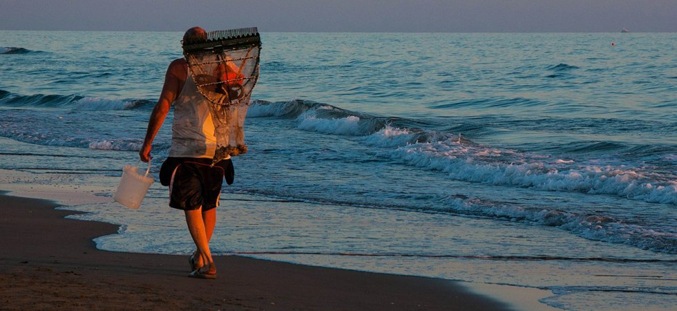 Finistère : ils partent pêcher à pied et sont retrouvés morts