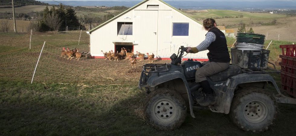 Ardèche : un mort dans un accident de quad
