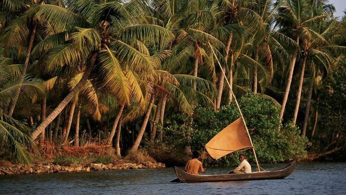 A la découverte de l'Inde sauvage