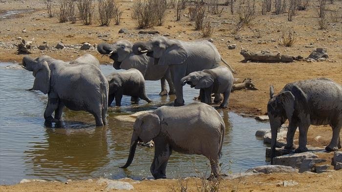 Afrique extrême