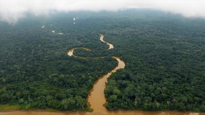 Amazone, dans les eaux troubles du fleuve
