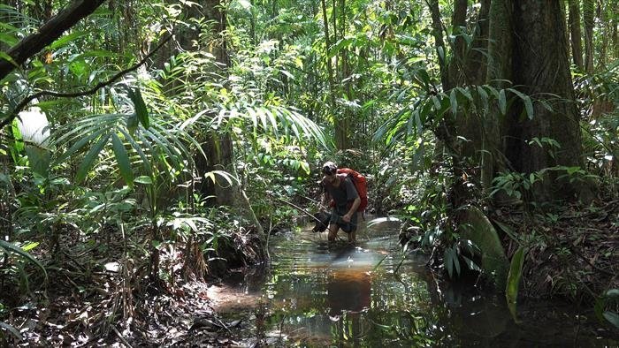 Amazonie, dans les pas de Maufrais