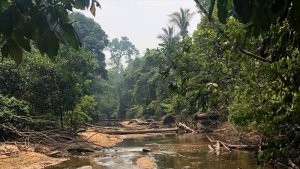 Amazonie, la maison brûle