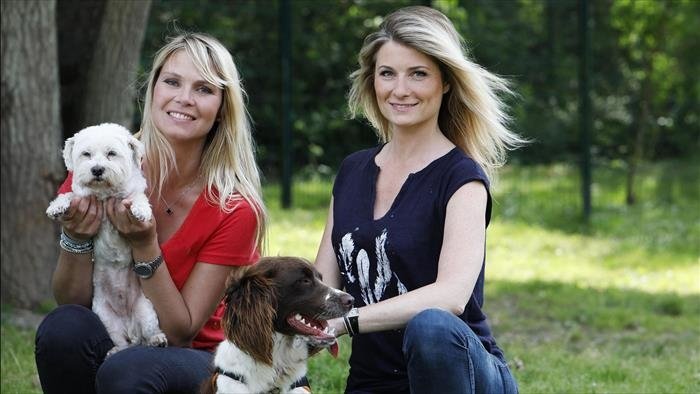 Animaux à adopter : nouvelle famille pour une nouvelle vie