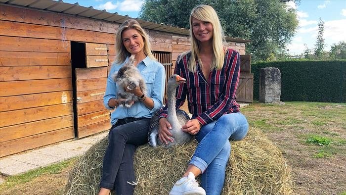 Animaux à adopter : nouvelle famille pour une nouvelle vie