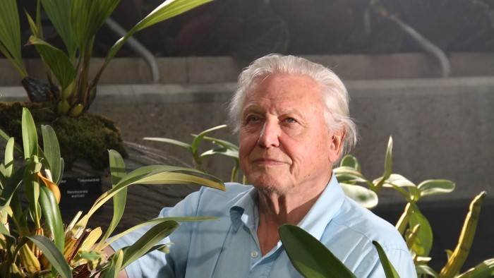 Au royaume des plantes