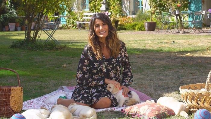 Bébés chiens : les 100 premiers jours de leur vie
