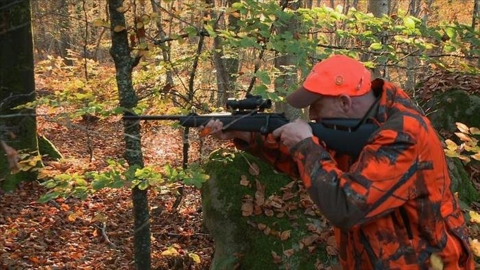 Chasse au gros gibier dans la forêt de Fontainebleau