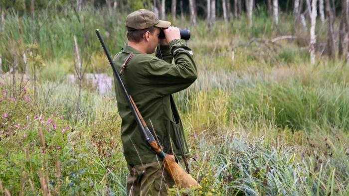 Chasse du brocard avec le prince de Strongoli