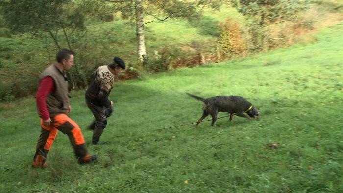 Comment utiliser un chien de pied