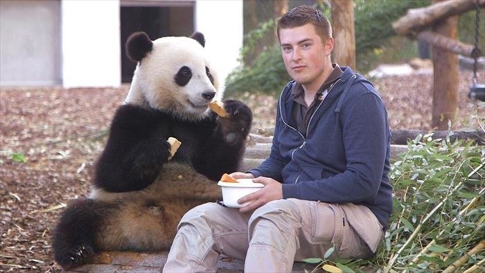 Dans les coulisses des zoos les plus extraordinaires d'Europe
