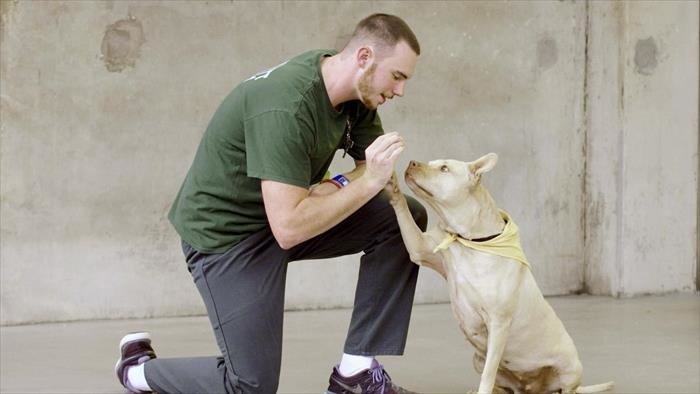 Des chiens et des hommes