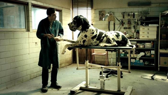 Dogman
