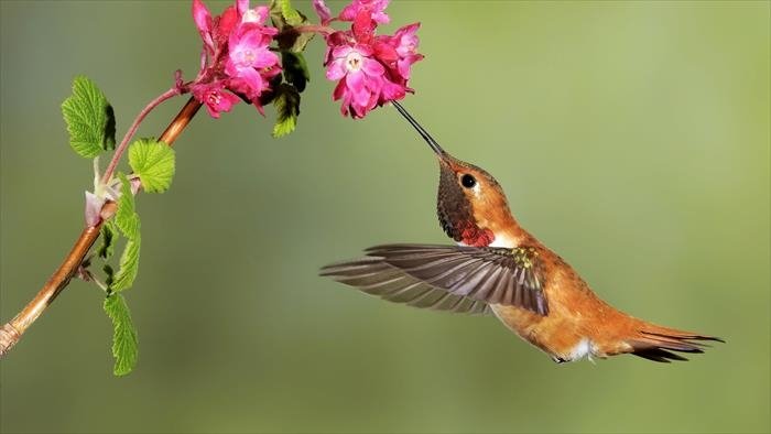 Grandeurs nature